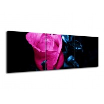 Glas schilderij Roos | Roze, Blauw, Zwart | 120x40cm 3Luik