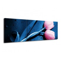 Glas schilderij Tulp | Roze, Blauw | 120x40cm 3Luik