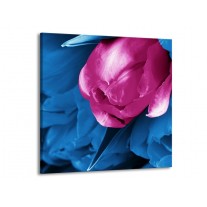 Glas schilderij Tulp | Roze, Blauw | 70x70cm 1Luik