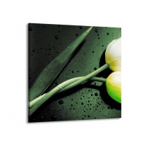 Glas schilderij Tulp | Groen, Geel, Zwart | 70x70cm 1Luik