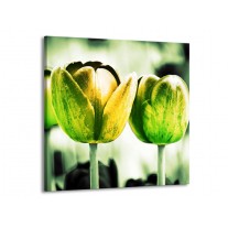 Glas schilderij Tulp | Geel, Groen, Wit | 70x70cm 1Luik