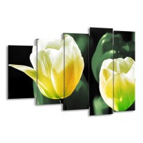 Glas schilderij Tulp | Geel, Groen, Wit | 150x100cm 5Luik