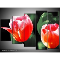 Klok schilderij Tulp | Rood, Groen, Wit | 150x100cm 5Luik