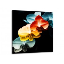 Glas schilderij Orchidee | Oranje, Rood, Blauw | 70x70cm 1Luik