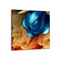 Glas schilderij Tulp | Blauw, Grijs | 70x70cm 1Luik