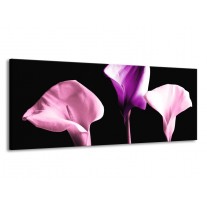 Glas schilderij Bloem | Paars, Wit, Zwart | 145x58cm 1Luik