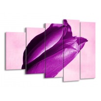 Glas schilderij Tulp | Paars, Wit, Zwart | 150x100cm 5Luik