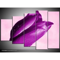 Klok schilderij Tulp | Paars, Wit, Zwart | 150x100cm 5Luik