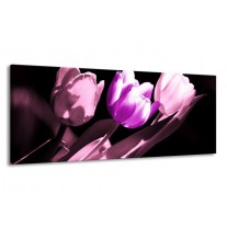 Glas schilderij Tulp | Paars, Wit, Zwart | 145x58cm 1Luik