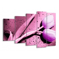 Glas schilderij Tulp | Paars, Wit, Zwart | 150x100cm 5Luik