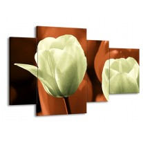 Glas schilderij Tulp | Bruin, Grijs | 120x75cm 4Luik