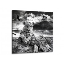 Canvas schilderij Natuur | Grijs, Wit, Zwart | 70x70cm 1Luik