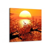 Canvas schilderij Natuur | Oranje, Geel, Zwart | 50x50cm 1Luik