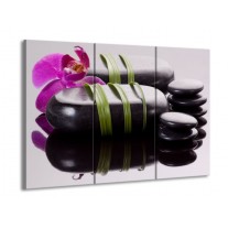 Glas schilderij Stenen | Paars, Zwart, Groen | 90x60cm 3Luik
