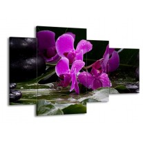 Glas schilderij Orchidee | Zwart, Roze, Grijs | 120x75cm 4Luik