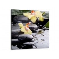 Glas schilderij Orchidee | Geel, Zwart, Wit | 70x70cm 1Luik