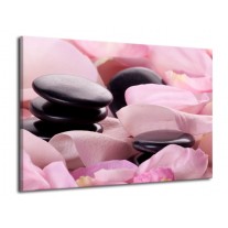 Glas schilderij Stenen | Roze, Zwart | 70x50cm 1Luik
