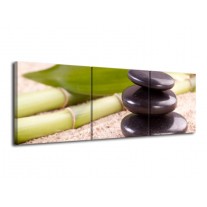 Glas schilderij Stenen | Bruin, Groen, Geel | 120x40cm 3Luik