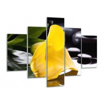 Glas schilderij Bloem | Geel, Zwart, Wit | 100x70cm 5Luik