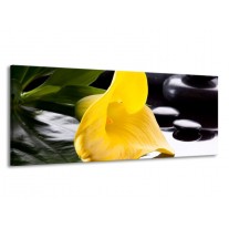 Glas schilderij Bloem | Geel, Zwart, Wit | 145x58cm 1Luik