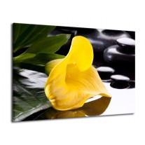 Glas schilderij Bloem | Geel, Zwart, Wit | 70x50cm 1Luik