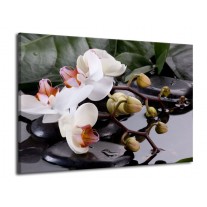 Glas schilderij Orchidee | Geel, Zwart, Wit | 70x50cm 1Luik