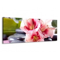Glas schilderij Bloem | Roze, Wit, Groen | 145x58cm 1Luik