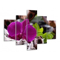 Glas schilderij Bloem | Paars, Groen, Bruin | 100x70cm 5Luik