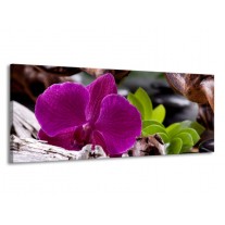 Glas schilderij Bloem | Paars, Groen, Bruin | 145x58cm 1Luik