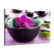 Glas schilderij Orchidee | Paars, Groen | 70x50cm 1Luik