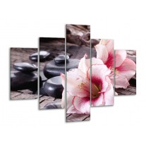 Glas schilderij Bloem | Wit, Roze, Zwart | 100x70cm 5Luik