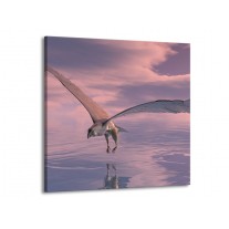 Glas schilderij Vogel | Grijs, Wit | 50x50cm 1Luik