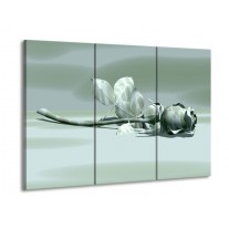 Glas schilderij Roos | Grijs, Wit | 90x60cm 3Luik