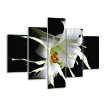 Glas schilderij Bloem | Wit, Zwart, Groen | 100x70cm 5Luik