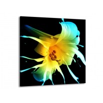 Glas schilderij Bloem | Zwart, Geel, Blauw | 70x70cm 1Luik