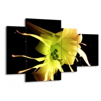 Glas schilderij Bloem | Zwart, Geel, Groen | 120x75cm 4Luik