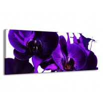 Glas schilderij Orchidee | Paars, Blauw, Wit | 145x58cm 1Luik