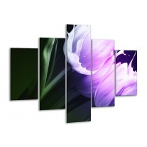 Glas schilderij Tulp | Groen, Paars, Zwart | 100x70cm 5Luik