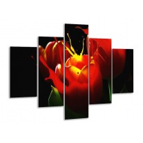 Glas schilderij Tulp | Rood, Zwart, Groen | 100x70cm 5Luik