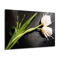 Glas schilderij Tulp | Grijs, Groen, Wit | 70x50cm 1Luik