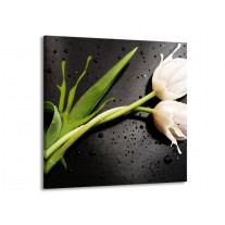 Glas schilderij Tulp | Grijs, Groen, Wit | 70x70cm 1Luik