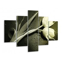 Glas schilderij Tulp | Grijs, Zwart, Wit | 100x70cm 5Luik