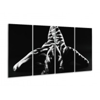 Glas schilderij Abstract | Zwart, Wit, Grijs | 160x80cm 4Luik