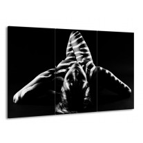 Glas schilderij Abstract | Zwart, Wit, Grijs | 165x100cm 3Luik