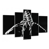 Glas schilderij Abstract | Zwart, Wit, Grijs | 170x100cm 5Luik