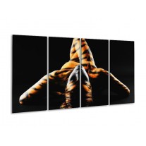 Glas schilderij Abstract | Oranje, Zwart, Geel | 160x80cm 4Luik
