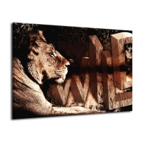 Canvas schilderij Leeuw | Bruin, Zwart | 70x50cm 1Luik