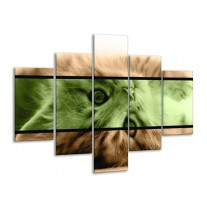 Glas schilderij Kat | Groen, Bruin | 100x70cm 5Luik