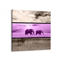 Glas schilderij Olifant | Paars, Bruin | 70x70cm 1Luik