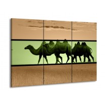 Canvas schilderij Kameel | Groen, Bruin, Zwart | 90x60cm 3Luik